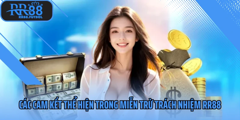 Các cam kết thể hiện trong miễn trừ trách nhiệm 