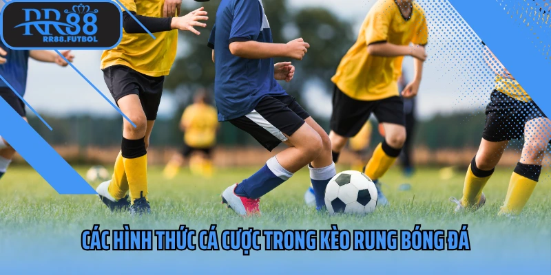 Các hình thức cá cược trong kèo rung bóng đá