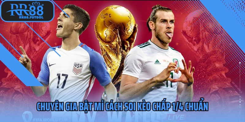 Chuyên gia bật mí cách soi kèo chấp 1/4 chuẩn