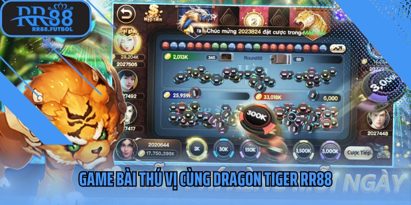 Game bài thú vị cùng Dragon Tiger RR88