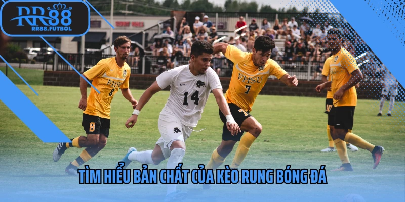 Tìm hiểu bản chất của kèo rung bóng đá